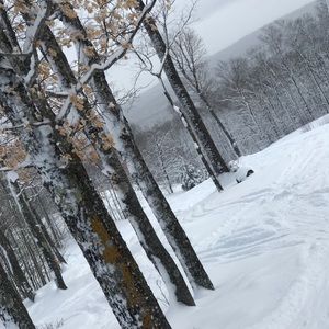 Meet your Posher, Vida